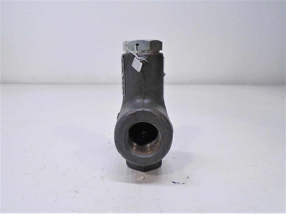 Cyrus Shank 1/2" x 1" NPT Safety Relief Valve, Type 813, 300 PSIG